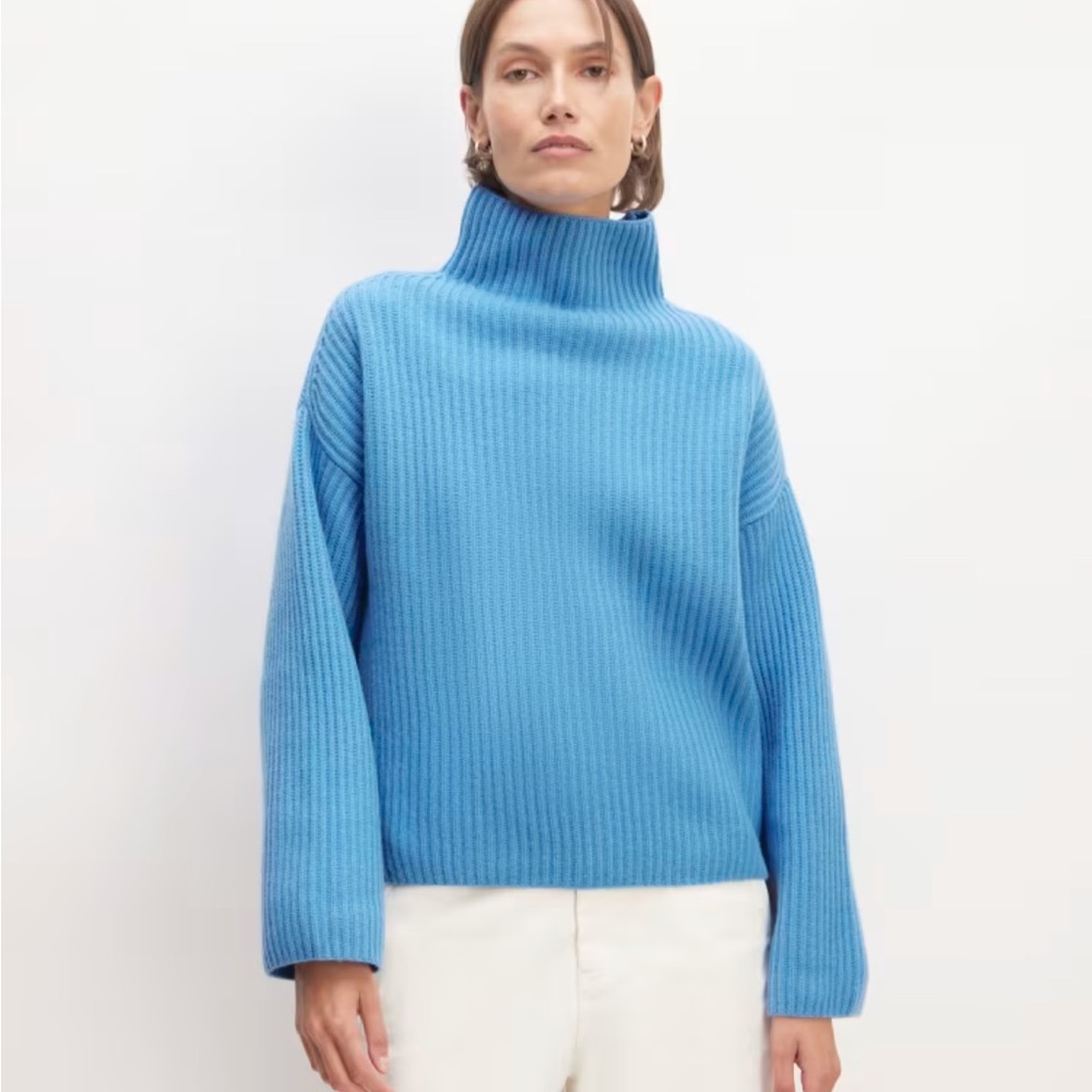 NWOT Everlane The Felted Merino Wool Funnel-Neck Pullover in Heritage Blue M